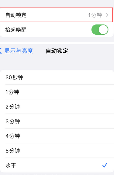 隆安苹果换屏维修分享无法调整iPhone自动锁屏的时间怎么办